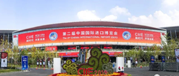 新时期 共享将来 | Maple Armor惊艳亮相进博会