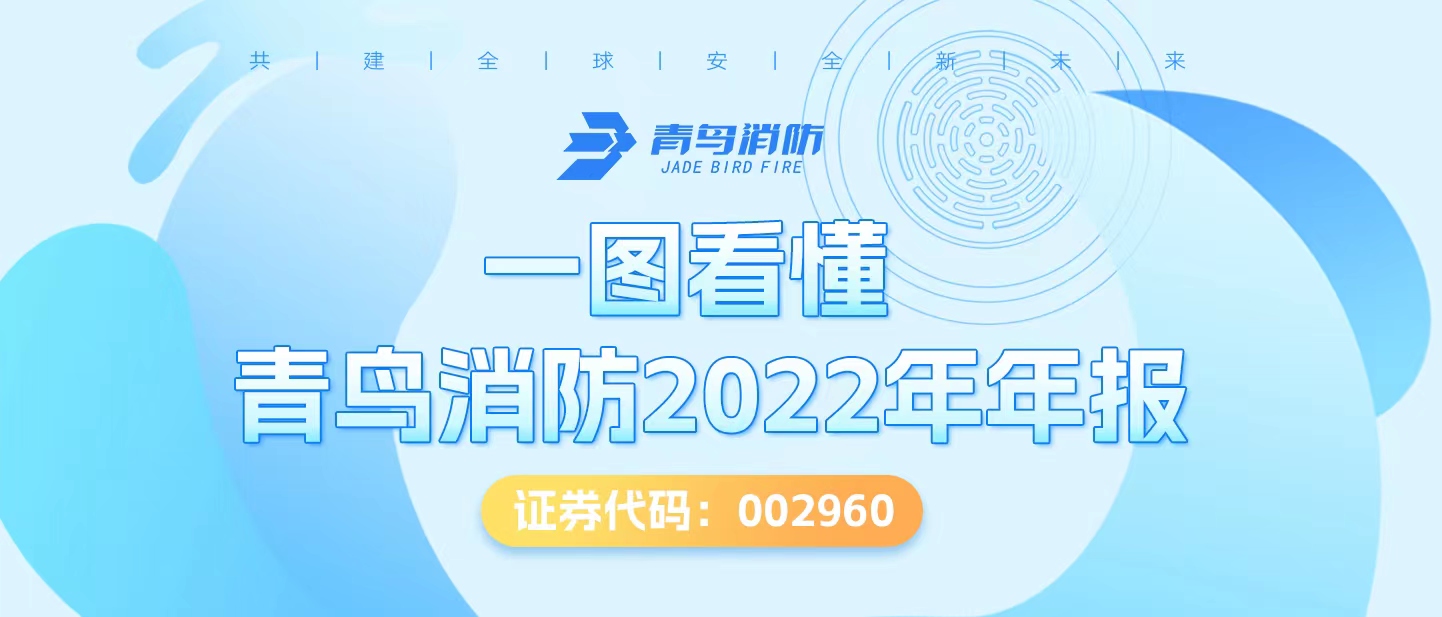 一图看懂bevictor伟德2022年年报
