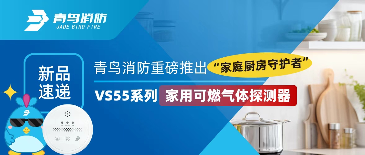 新品快递 | bevictor伟德沉磅推出&ldquo;家庭厨房守护者&rdquo;&mdash;&mdash;VS55系列家用可燃气体探测器